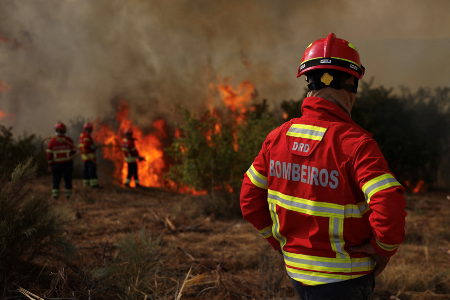 Péninsule ibérique, Italie et Balkans | Les incendies font rage en Europe