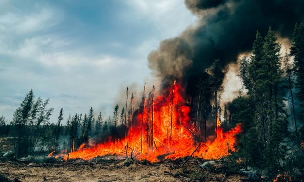 Incendies de forêt au Québec en 2023 | Une facture collective chiffrée à plus de 8 milliards