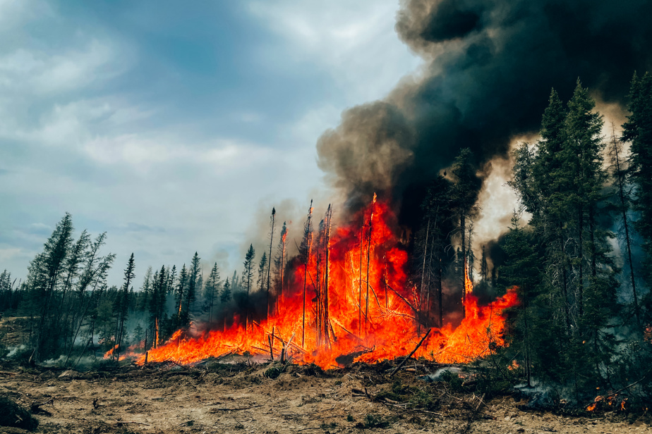 Incendies de forêt au Québec en 2023 | Une facture collective chiffrée à plus de 8 milliards