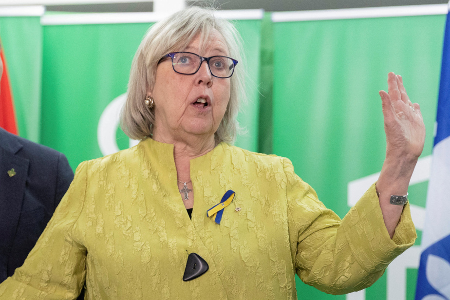 Elizabeth May ne dirigera pas le Parti vert aux prochaines élections