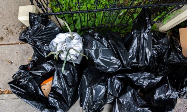 Mercier–Hochelaga-Maisonneuve | Ensemble Montréal veut rétablir la collecte hebdomadaire des déchets