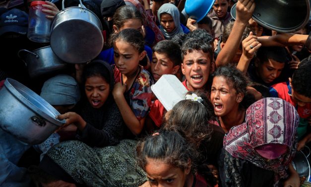 Gaza | L’ONU déclare la famine, 500 000 personnes dans un état « catastrophique »