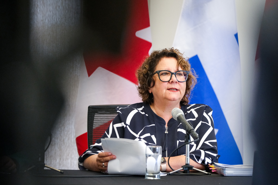Rapport de la VG | Les chantiers mal gérés s’immiscent dans la campagne à Montréal