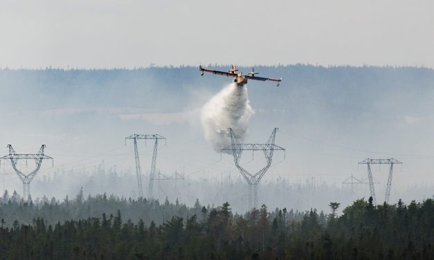 Terre-Neuve | Au milieu des incendies de forêt, des élèves perdent leur école