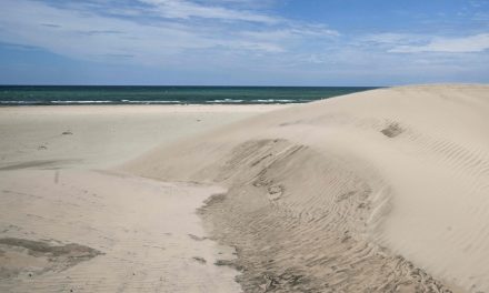 Des plages font l’objet de contamination fécale