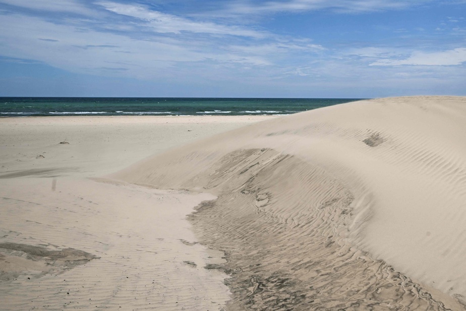 Des plages font l’objet de contamination fécale