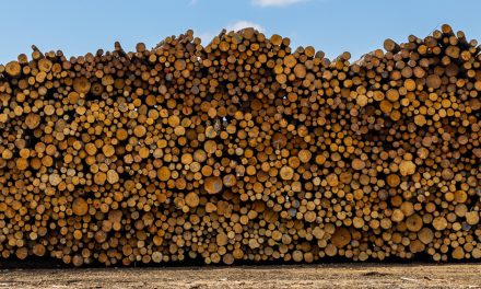Armoires, bois d’œuvre et cie | Un tour de vis tarifaire qui fait mal