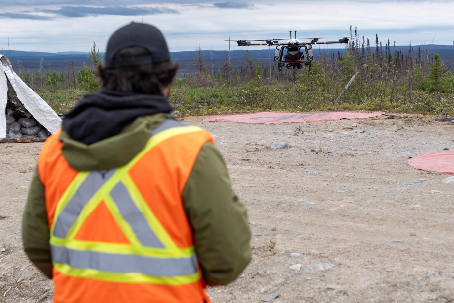 Reboisement | Des forêts brûlées ensemencées par drones