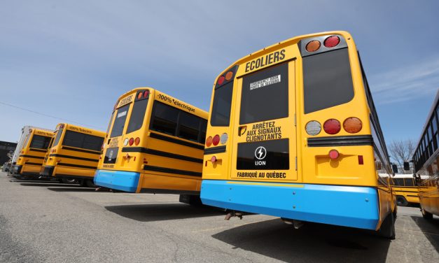 Retrait de 1200 véhicules électriques  | Une majorité des autobus Lion sera de retour sur les routes mercredi