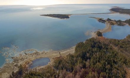 Le projet de sanctuaire de baleines obtient l’approbation de la Nouvelle-Écosse