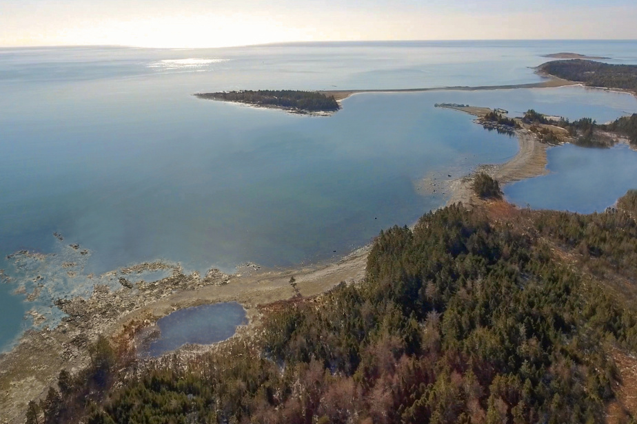 Le projet de sanctuaire de baleines obtient l’approbation de la Nouvelle-Écosse