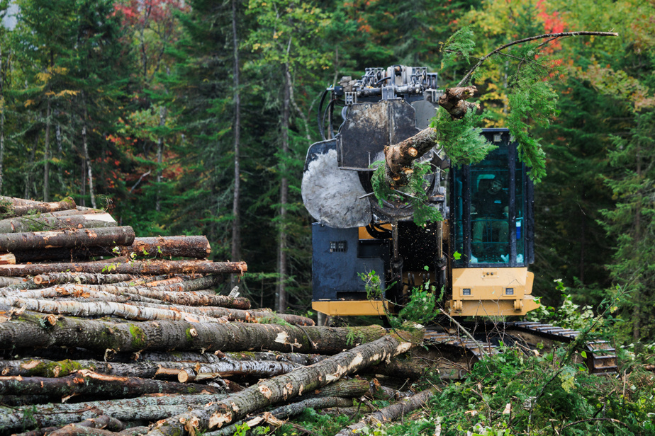 « Trop difficile » avant les élections | Pas de nouveau régime forestier, aurait confié Legault à son ex-ministre