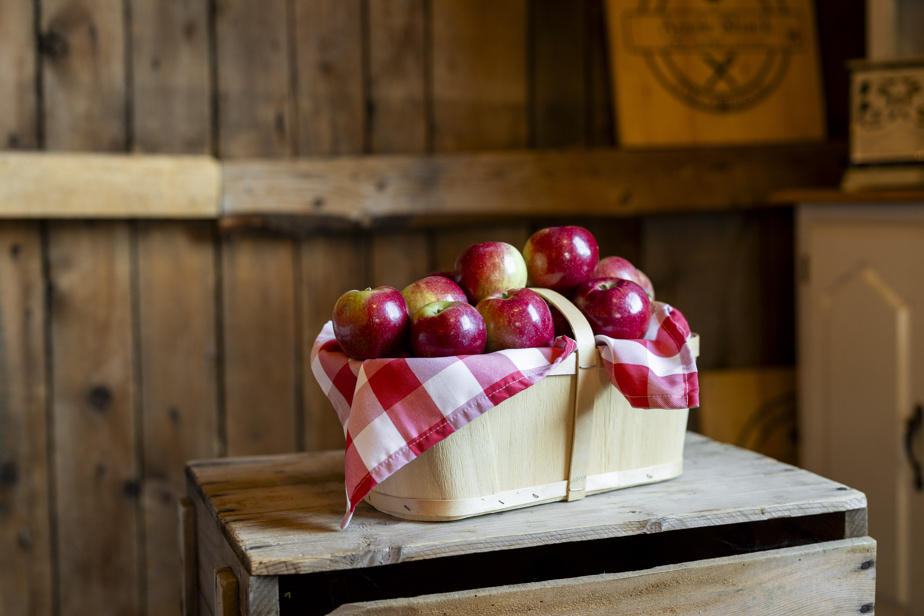 Action de grâce | Des pommes étonnantes à se mettre sous la dent