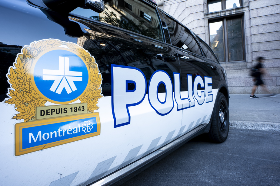 Montréal | Une femme grièvement blessée par trois chiens