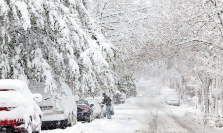 Neige et pluie verglaçante | Plus de 70 000 foyers sans électricité, des dizaines d’écoles fermées