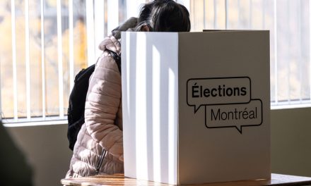 Un taux de participation en hausse et plus de femmes élues