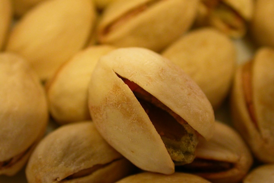 Salmonellose dans les pistaches | L’éclosion qui n’en finit plus