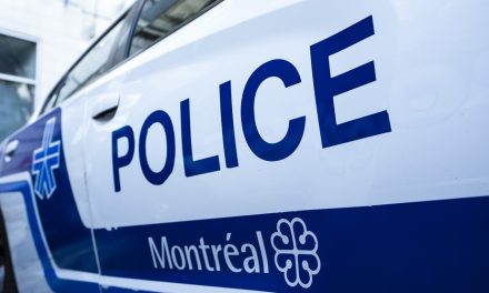 Plateau-Mont-Royal | Un homme poignardé, un suspect arrêté