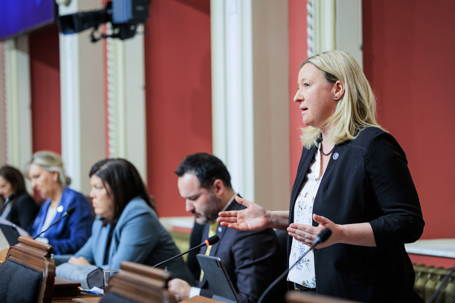 Des députés indépendants reconnaissent leur force de frappe limitée