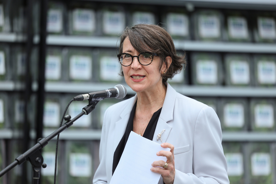 Contrôle des armes à feu | « Je comprends l’impatience », dit Nathalie Provost
