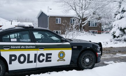 Bilan des meurtres de la SQ | Hausse des meurtres commis par des mineurs