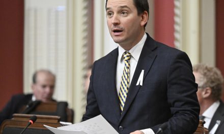 La constitution de Jolin-Barrette bonne pour la « poubelle »