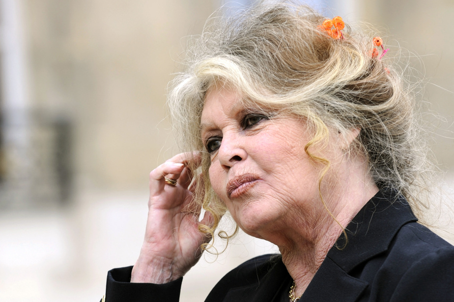 1934-2025 | Brigitte Bardot n’est plus