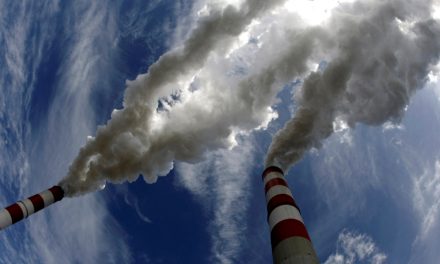 2025 | Une année de reculs