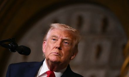 Nigeria | Les États-Unis ont mené de « nombreuses » frappes meurtrières contre l’EI