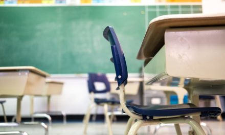 Recherche et innovation pédagogique | Une école primaire à la façon des hôpitaux universitaires