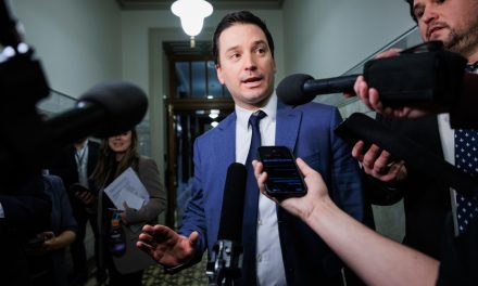Direction de la CAQ | Le ministre Jolin-Barrette invité à se lancer par une députée