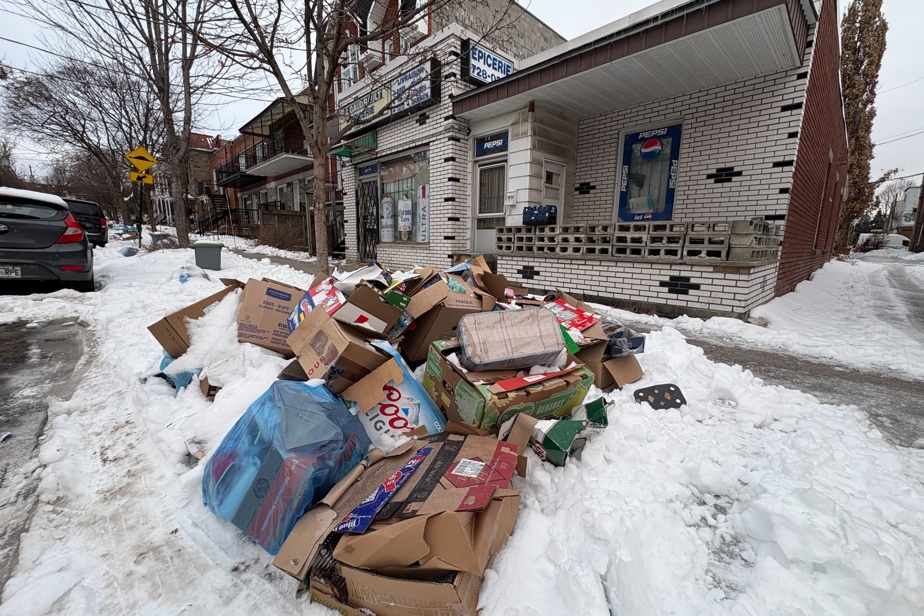 Montréal | Un gros acteur du recyclage donne mauvaise mine à Rosemont