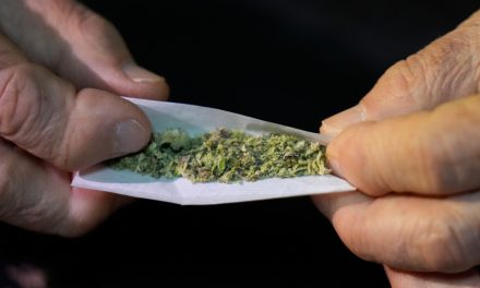 Étude québécoise | Les consommateurs de cannabis ne sont pas tous « problématiques »