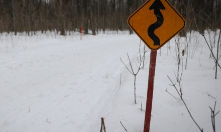 Trois morts et un disparu dans des accidents de motoneige