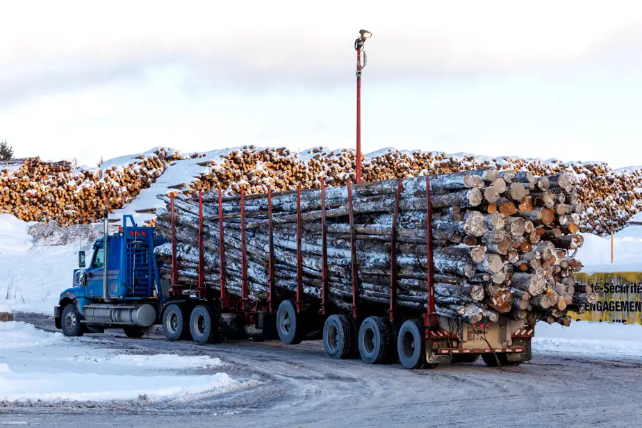 Une baisse des redevances forestières pour aider l’industrie