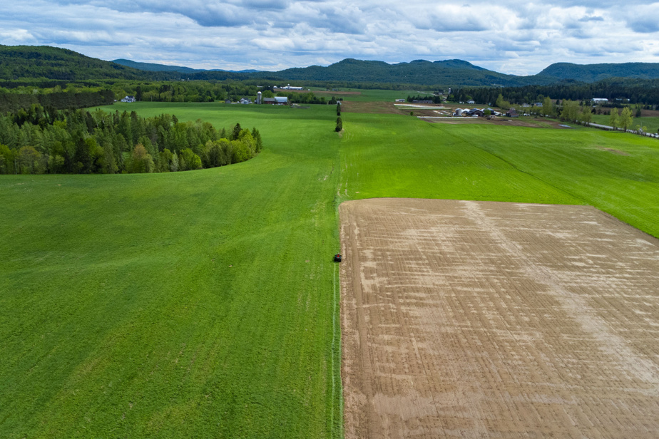 Souveraineté alimentaire | Une coalition promet 5 milliards d’ici 2030 en agriculture au Canada