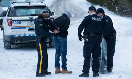 Les tendances du crime organisé