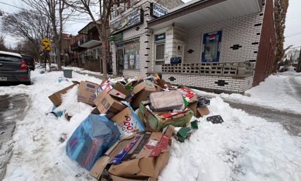 Recyclage dans Rosemont | Montréal songe à résilier un contrat après plusieurs ratés