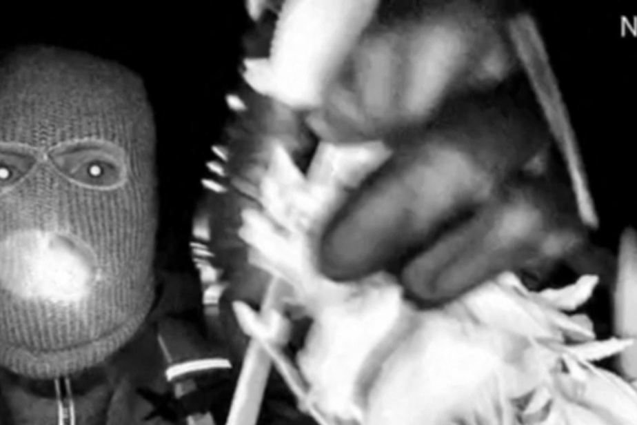 Enlèvement de la mère d’une journaliste | Le FBI publie les images d’un individu masqué
