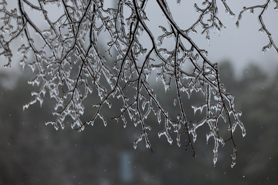 Pluie, neige et verglas | Un cocktail météo « potentiellement critique » attendu en milieu de semaine