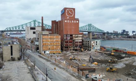 Réglementation modifiée | Le site de la Molson pourrait accueillir jusqu’à 1000 logements de plus