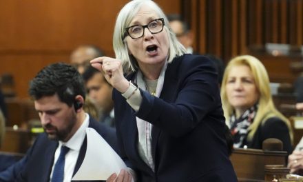 Système de prestations Cúram | Encore 63 000 aînés ont des problèmes à se faire payer