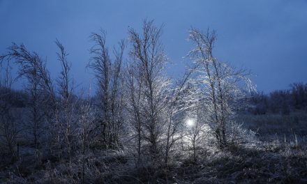 En photos | Les évènements verglaçants au fil du temps