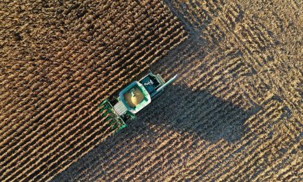 Mouvement Make America Healthy Again | L’appui de Donald Trump au glyphosate fâche une partie de sa base