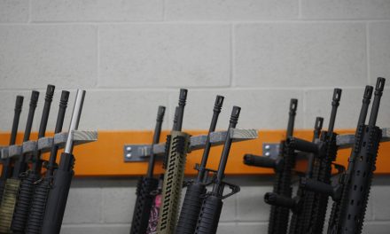 Programme de rachat d’armes | Le « manque de leadership » d’Ottawa critiqué
