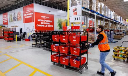 L’épicerie en ligne a le vent dans les voiles