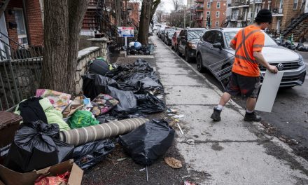 Ménage du printemps au ralenti | La mairesse demande aux Montréalais de faire leur part