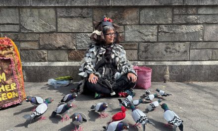 La mère de tous les pigeons de New York