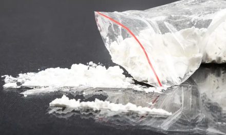 Saisie de 250 kg de cocaïne | Les douaniers ne mangeaient pas de ce pain-là
