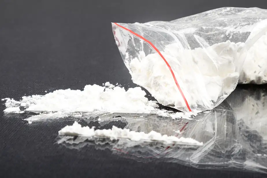 Saisie de 250 kg de cocaïne | Les douaniers ne mangeaient pas de ce pain-là